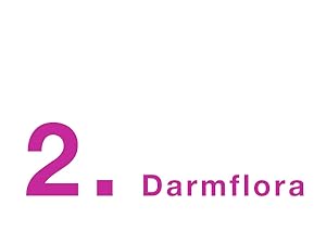 Darmflora