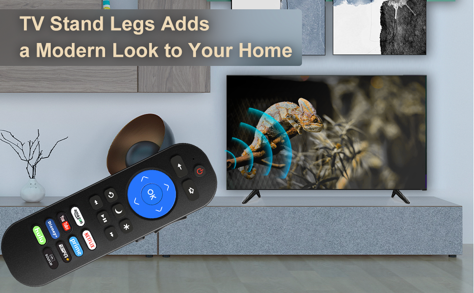 TV Base Stand and Remote Control for All TCL Roku TV, TV