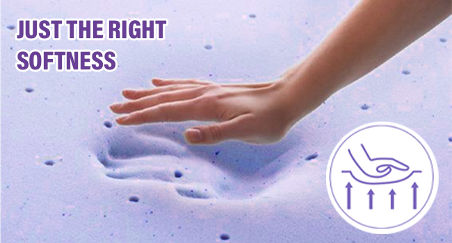 foam mattress cushion