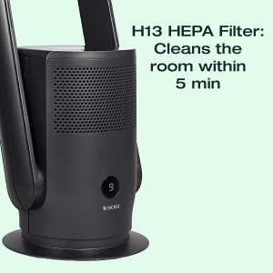 Air Purifier Pro 300x300