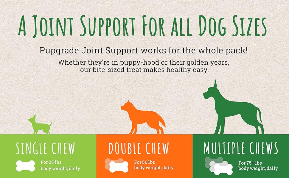 PupGrade Joint Support Supplement for Dogs Natural