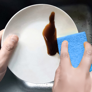 kitchen sponge