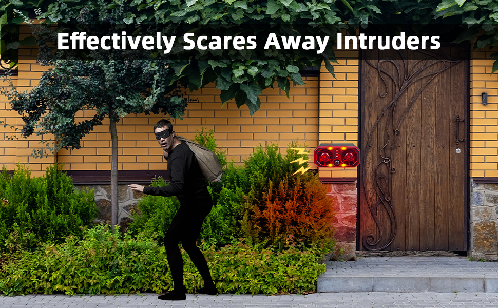 effectively scares away intruders