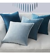Topfinel 4 Pack Blue Euro Pillow Sham Covers 20x20 Inches,Summer Velvet Throw Pillow Covers for C...