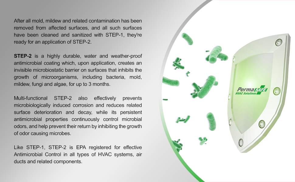 Mold and Mildew Removal