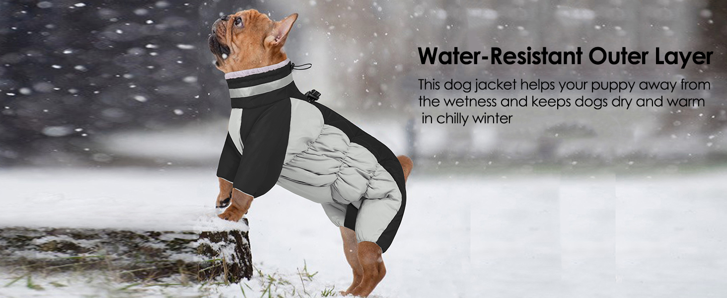 waterproof dog coat