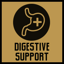 5% Nutrition Core L-Glutamine Supplement L-Alanine Amino Muscle Builder Post Workout Unflavored