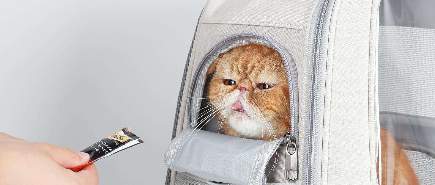 Cat carrier backpack