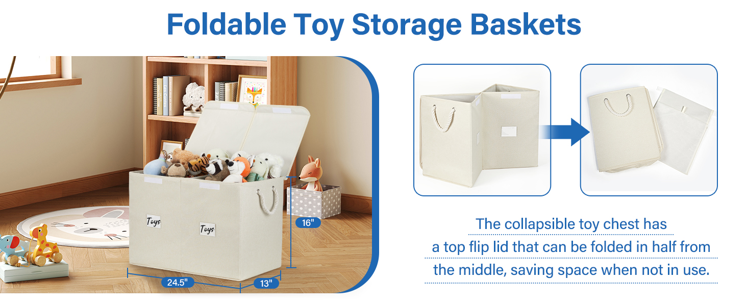 Temary Large Fabric Storage Bin with Lids, Collapsible