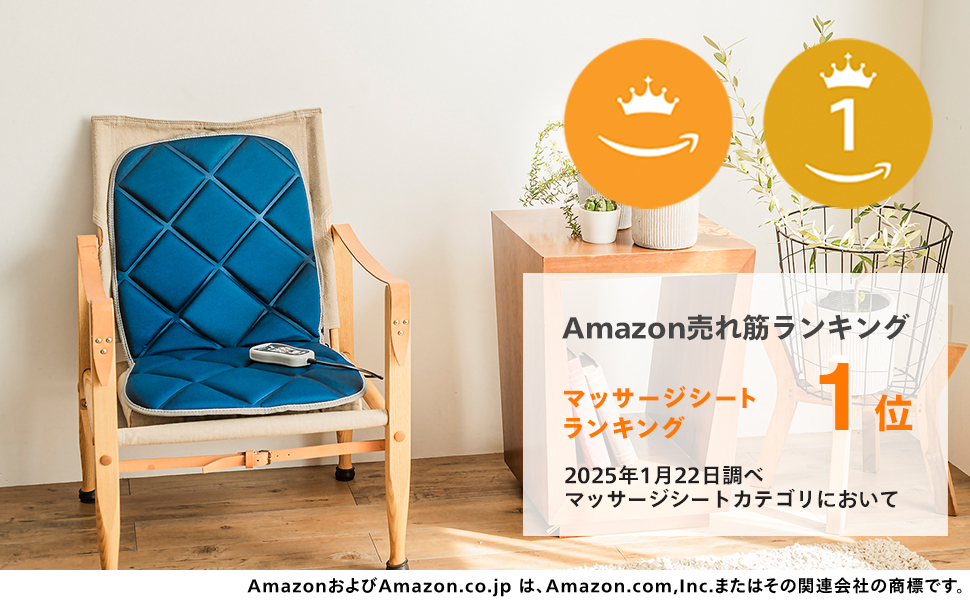 ★レムリアンシード 大型エンジェルシェイプ 置物①88.5g(珍品！ SA) 楽天市場】ツインバード マッサージ機 腰 背中 シート