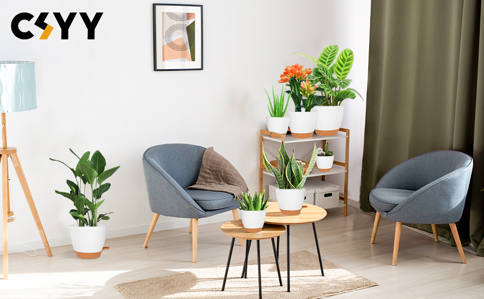 plant pot