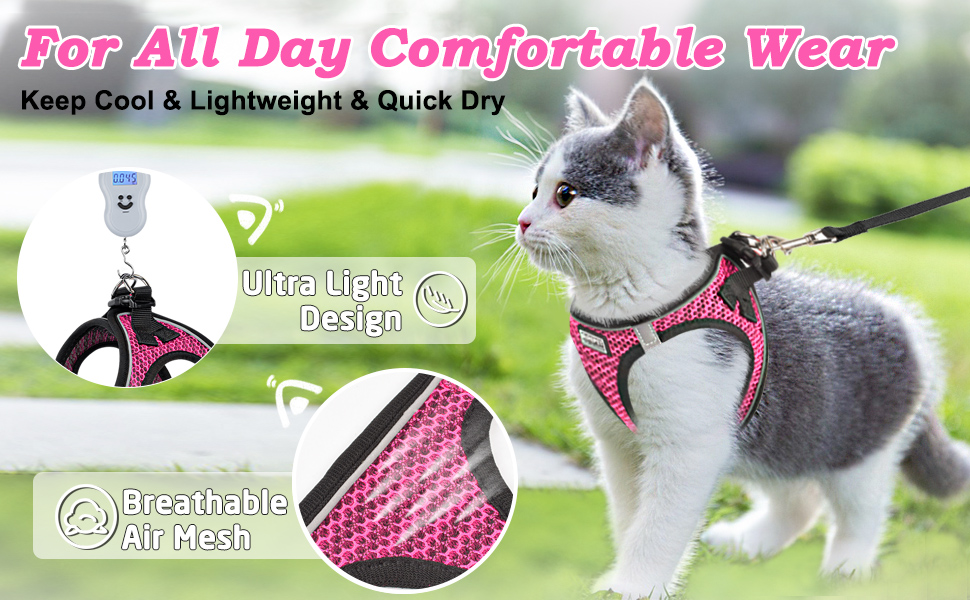 kitten harness and leash lightweight adjustable reflective soft