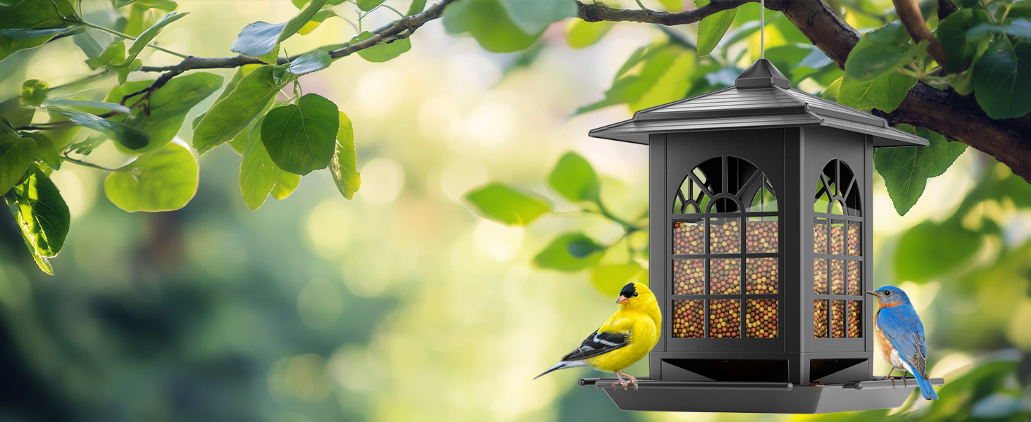 bird feeder