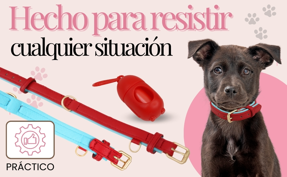 las mejores correas para perros para tu