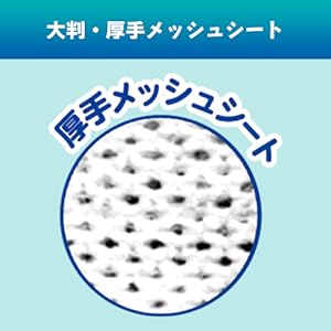 犬　ペット　掃除　掃除シート　消臭　消臭剤　臭い消し　おしっこ　うんち　ライオン　シュシュット　トイレ　部屋　ゴミ箱　除菌　詰め替え　99.9 掃除　キャリー　ケージ　床　シート　掃除しやすい