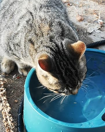 heated water bowl