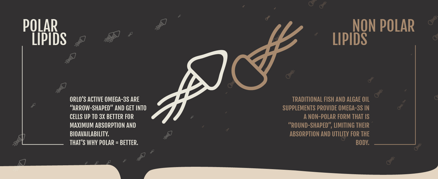 Omega 3 Omega3 Omega-3 Omega 3s Vegan DHA Brain EPA Algae Fish Oil Prenatal Lactation Breastfeeding