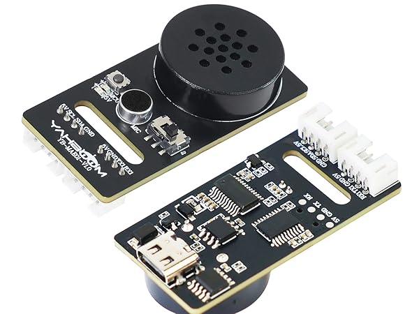 voice module
