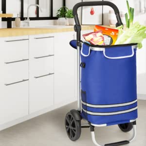 blue shopping trolley