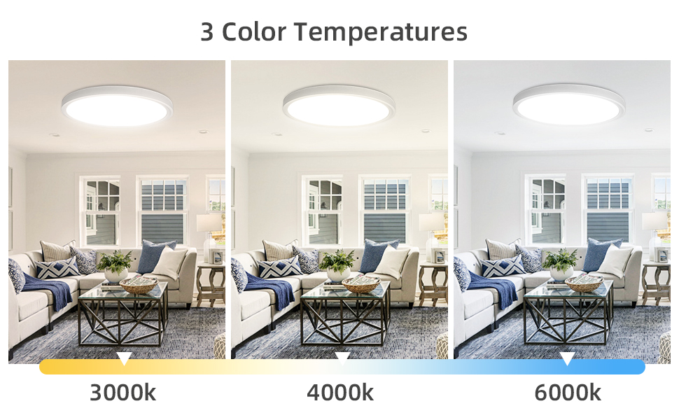 flush mount ceiling light