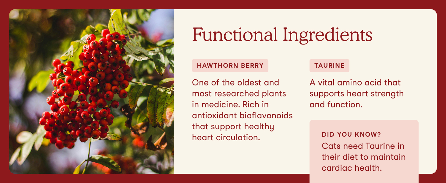 Functional Ingredients: Hawthorn Berry, Taurine