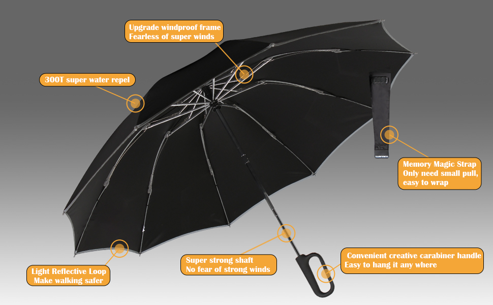 portable umbrella