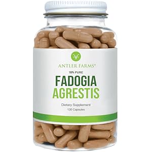 100% Fadogia Agrestis 