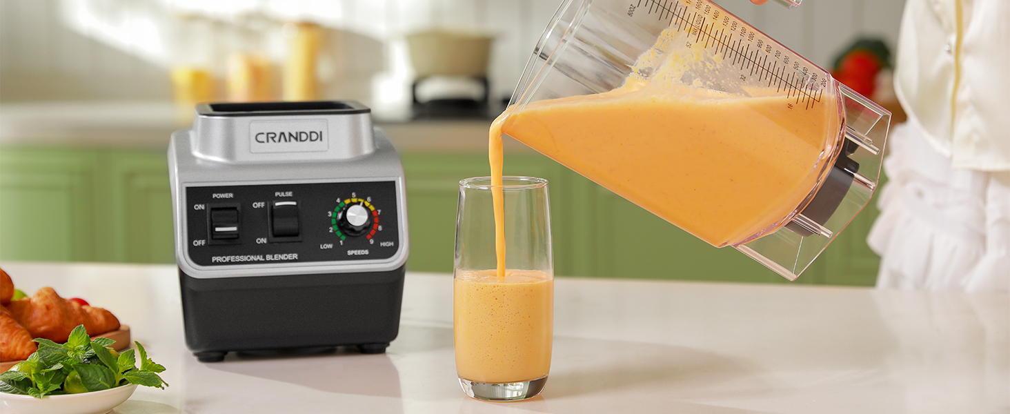 CRANDDI Professional Blender K96