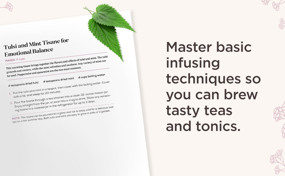 Master basic infusing techniques so you can brew tasty teas and tonics