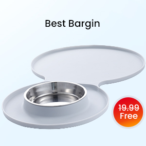 cat drinking water fountain