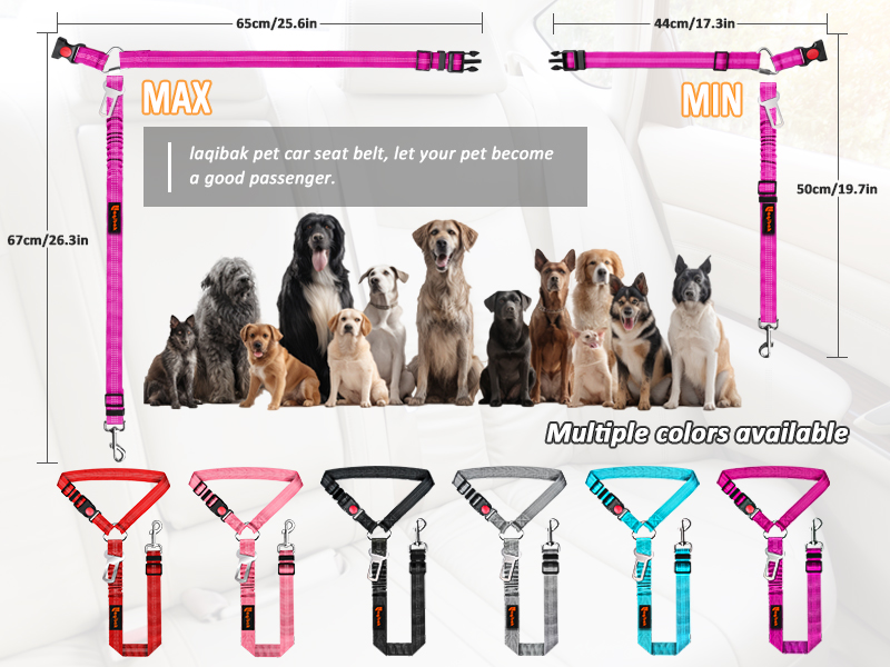 seat belt for dogs