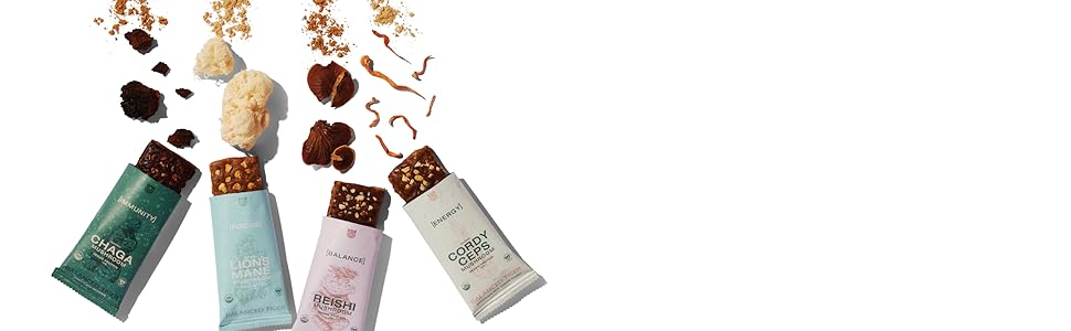 functional mushrooms, vegan protein bars, organic protein bars, mushrooms, adaptogens