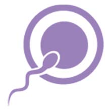 proov confirm ovulation pregnancy