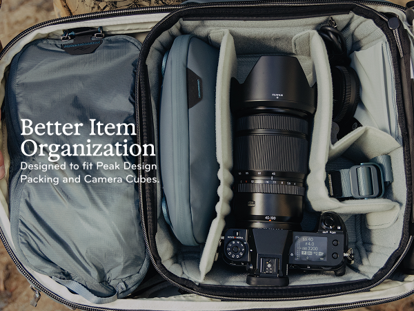 Amazon.com | Peak Design Travel Backpack 45L, Sage