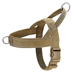 dog harness