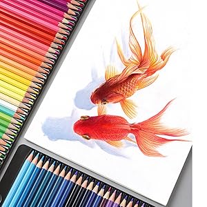 Amazon | 鮮やかな色鉛筆72本セット。色鉛筆の鮮やかな色鉛筆