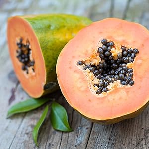 Papaya