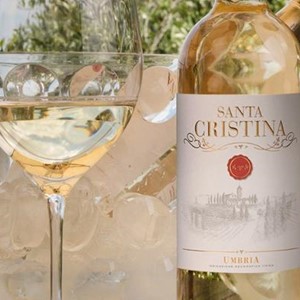 Amazon.co.jp: サンタクリスティーナ・ビアンコ [ 白ワイン 辛口
