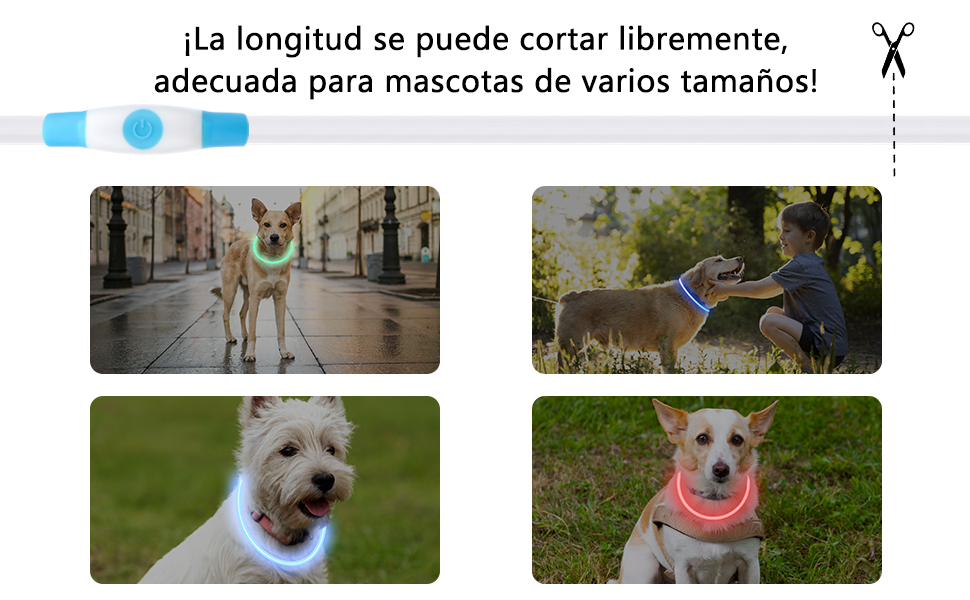 con icono de tijeras. Cuatro fotos muestran perros con collares brillantes en varios entornos: calle urbana, parque con niños, césped y retratos en primer plano