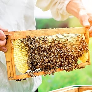 STAY COMFORTABLE WHILE WORKING