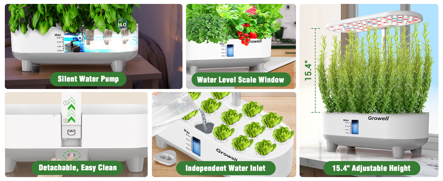 hydroponic garden indoor