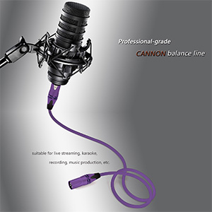 audio cable