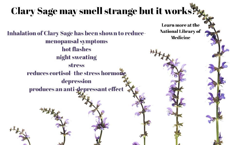 Menopause Multi Symptom Relief BraceletClary Sage Scented