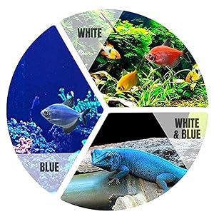 color changing led light