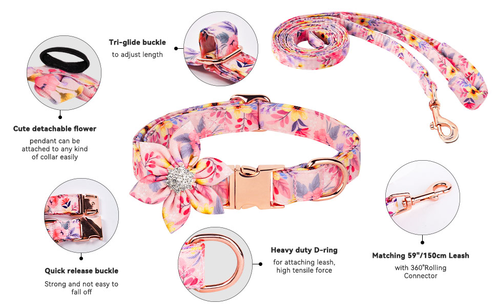 Collare Cane Con Fiore E Papillon - Set Guinzaglio E Campanello Regolabile Per Taglie Piccole, Medie, Grandi