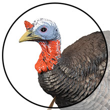 higdon decoys apex strutter hard body turkey hunting decoy