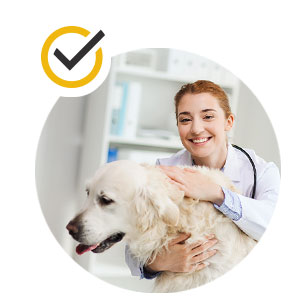 AntiScratch Key Benefit 3