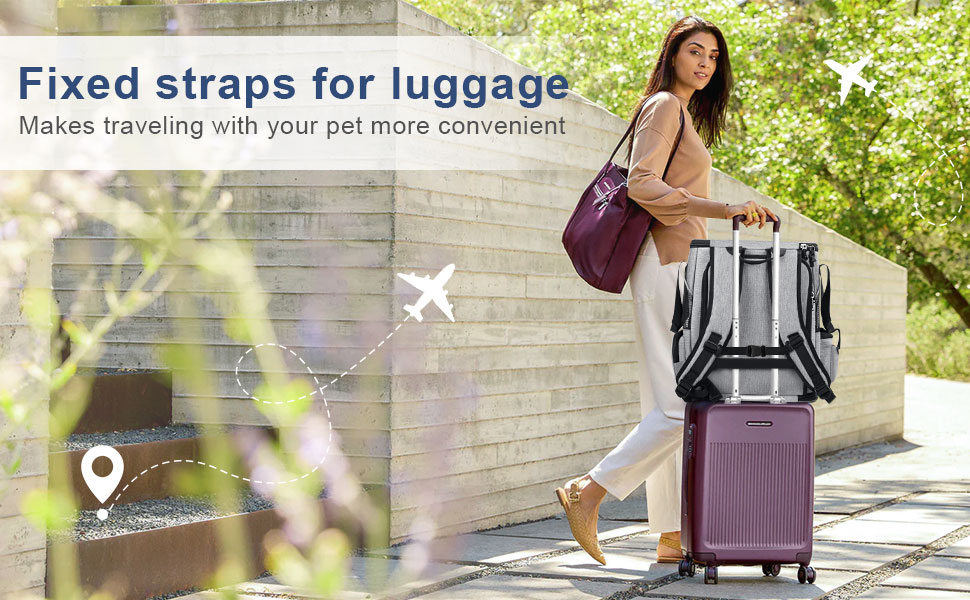 Transparent Cat Travel Backpack