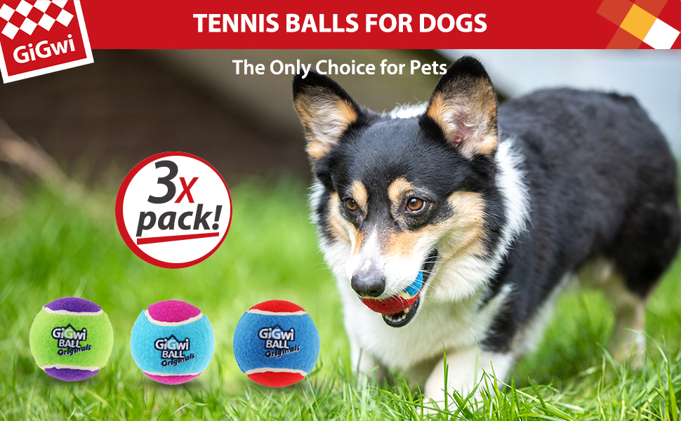 dog balls for medium dogs