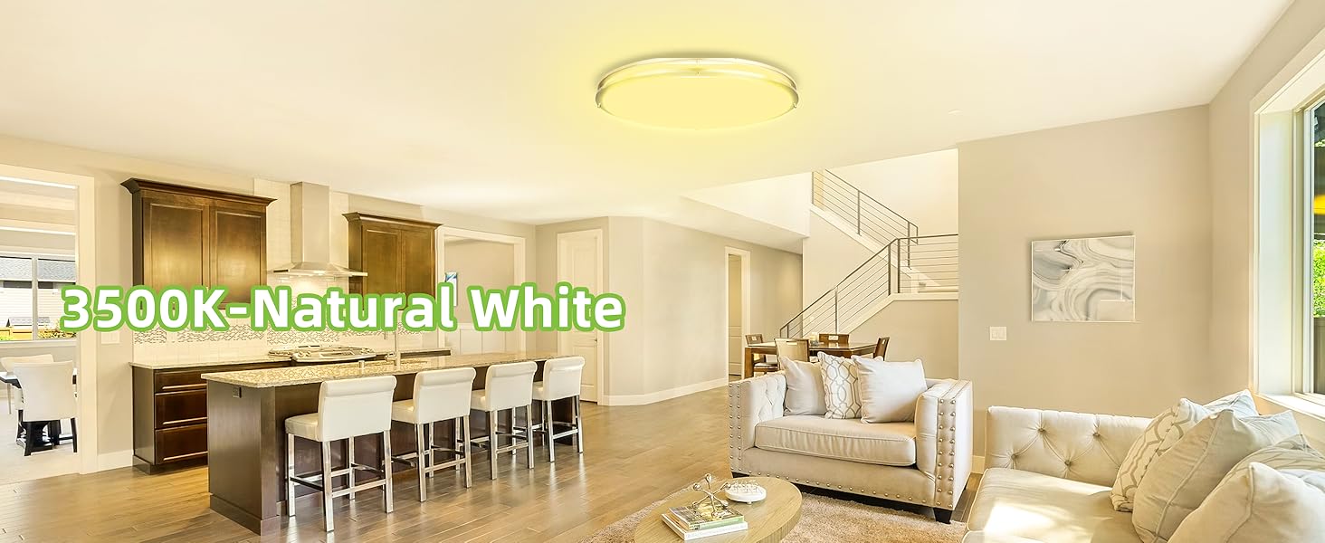 Flush Mount LED Ceiling Light Fixture